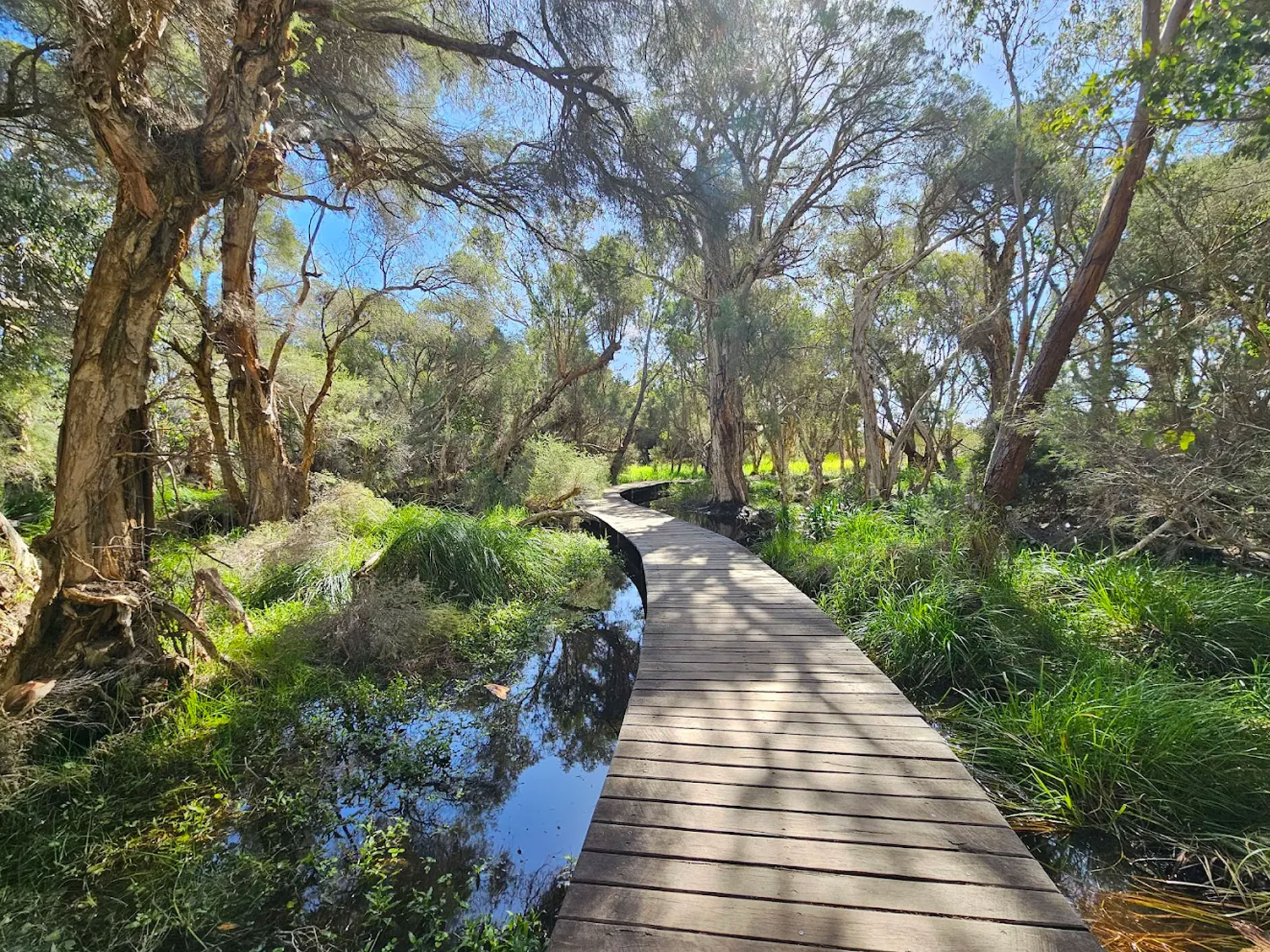 A morning by the water at Lake Joondalup