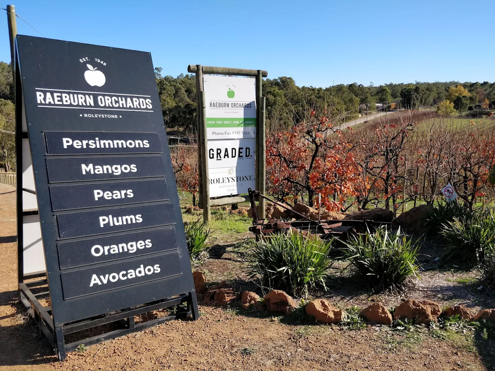 Driving the orchard routes of Armadale