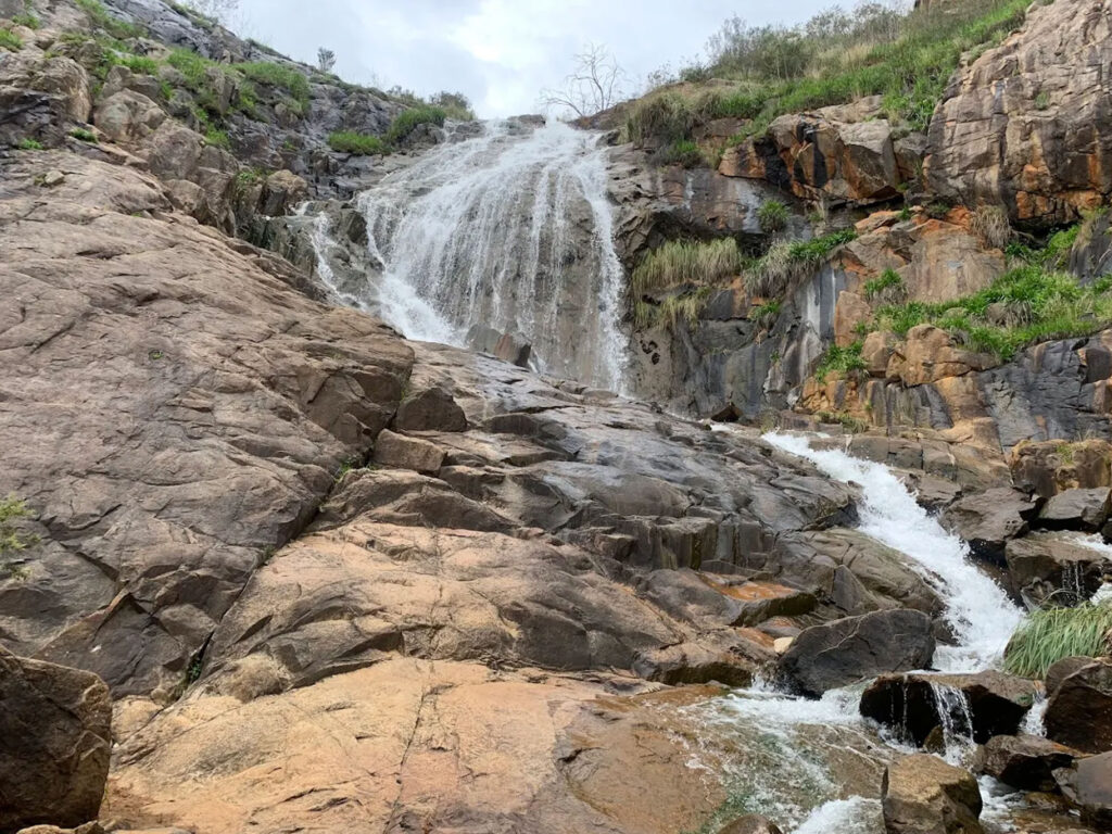 Finding clarity on the Darling Scarp trails of Forrestfield