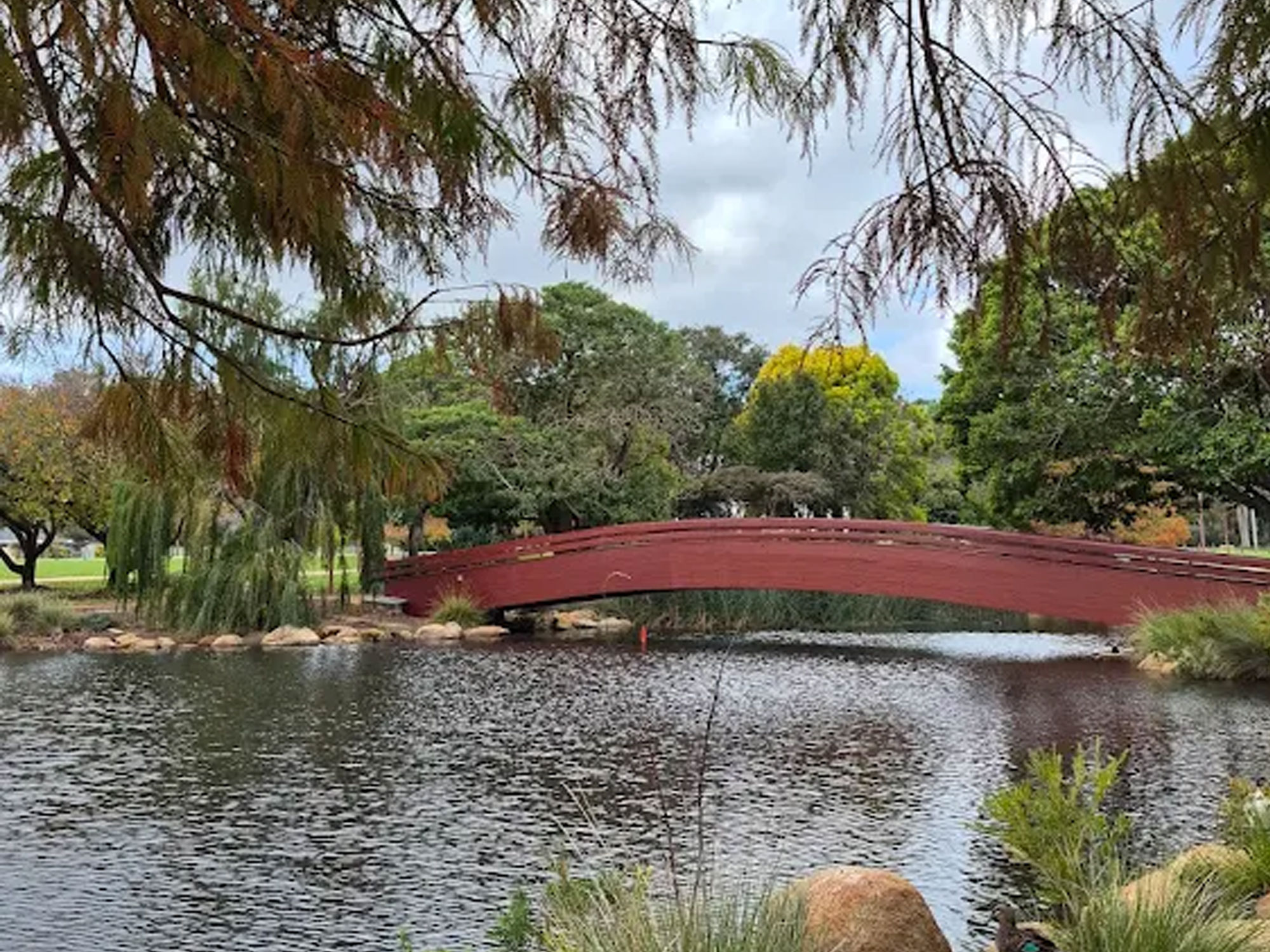 Minnawarra Park and the art of stillness in Armadale