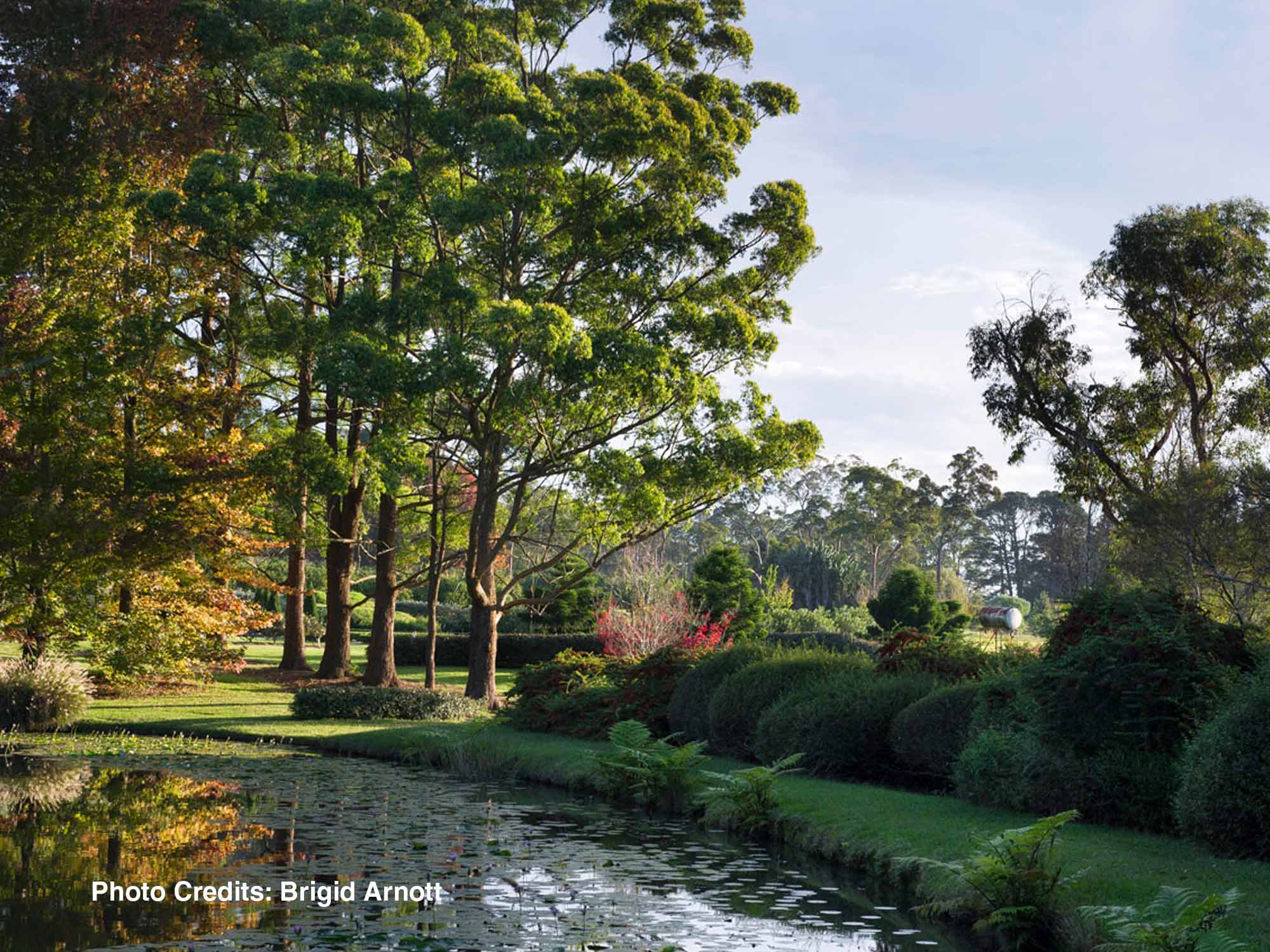The green thumb guru of Armadale: A gardener's enduring legacy